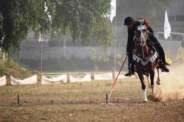 The Role of Sports Psychology in Cricket Performance Enhancement